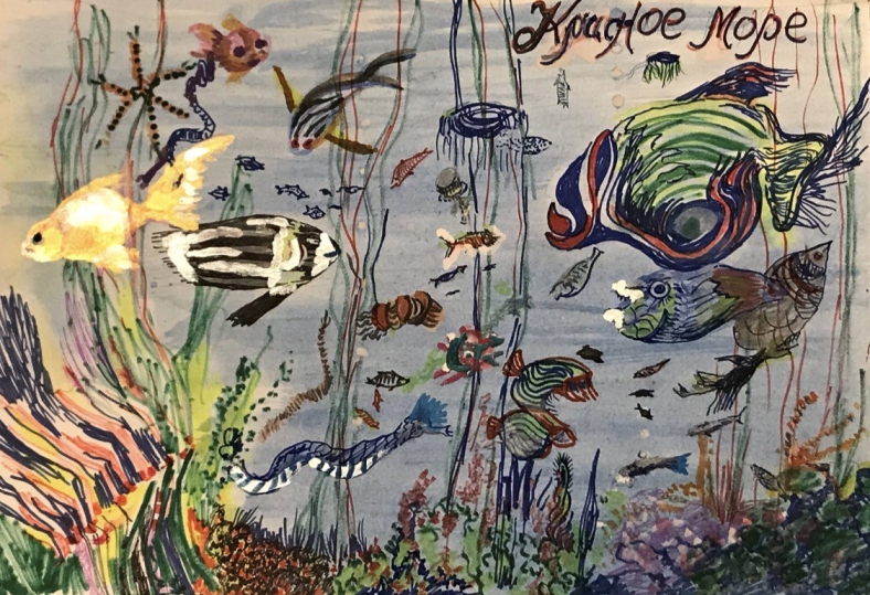 Красное море